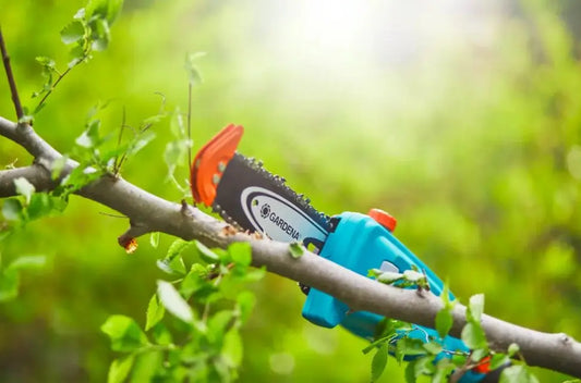 Gardena - Motosega da potatura a batteria 18V TCS 20/18V P4A, 20 cm, 1 batteria da 2,5 Ah, caricabatteria 14770-20