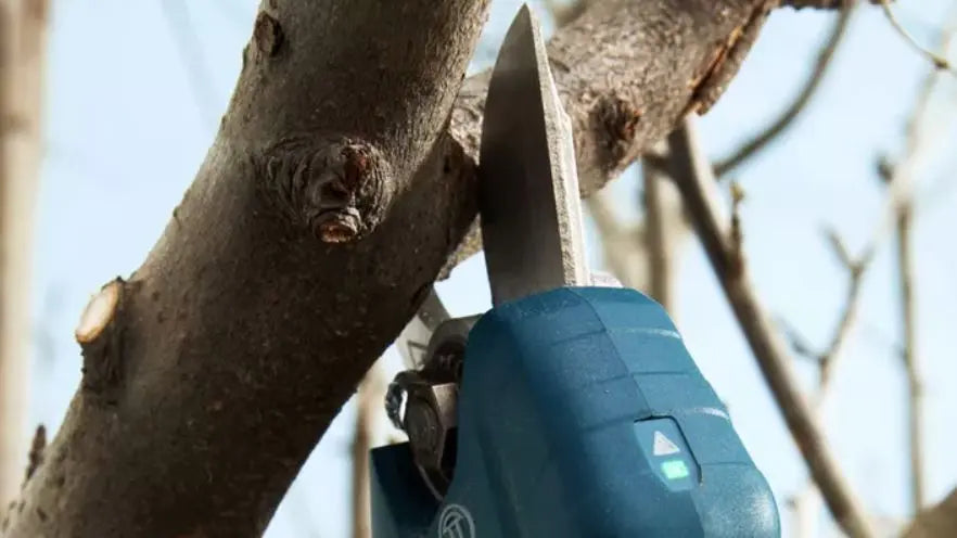 Bosch Attrezzature da giardino - Cesoie a batteria 12V, 2x batterie 3,0 Ah, caricabatterie 06019K1021