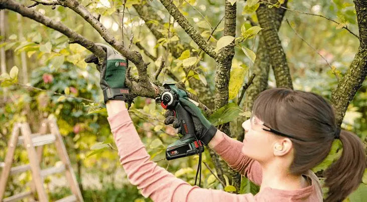 Bosch Utensili - Motosega a batteria 18V, 1x batteria 2,5 Ah Li-Ion, caricabatterie 06033D5101