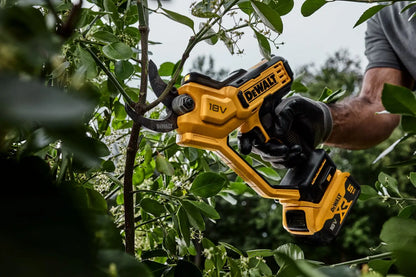 DeWALT Potatore a batteria 18V, 1x batteria 5,0 Ah XR, caricabatterie