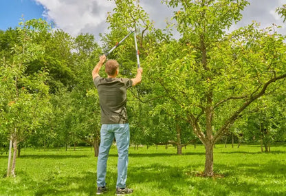 Gardena - Troncarami TeleCut Basic, telescopico 12020-20