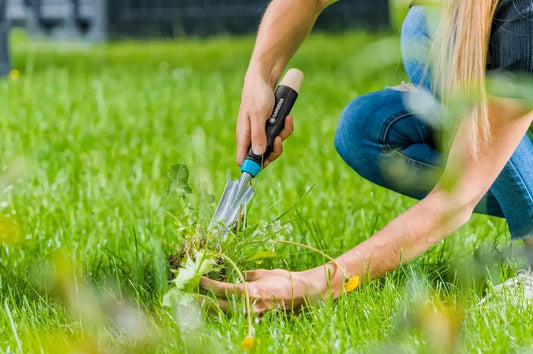 Gardena EcoLine - Scavatrice per radici EcoLine 17702-20