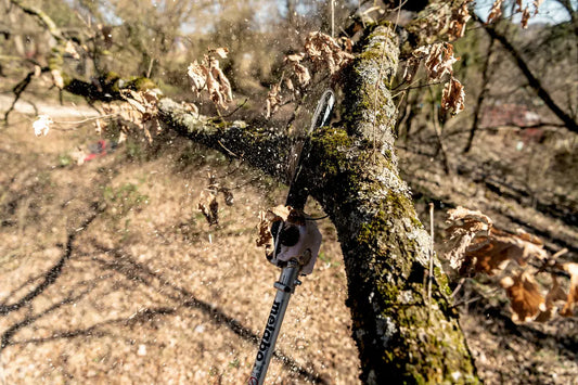 Metabo Attrezzo potatura intercambiabile, sega da potatura