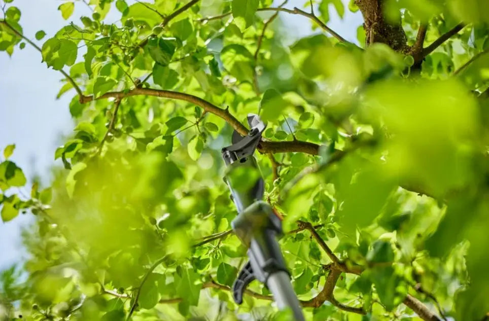 Gardena - troncarami telescopico AKU 18V HighCut 250/18V P4A, senza batteria e caricabatterie 14774-55