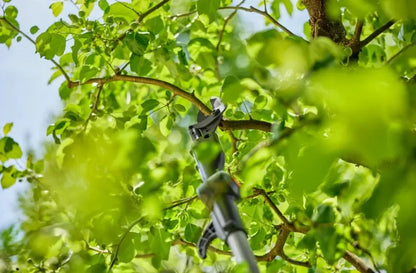 Gardena - troncarami telescopico AKU 18V HighCut 250/18V P4A, senza batteria e caricabatterie 14774-55